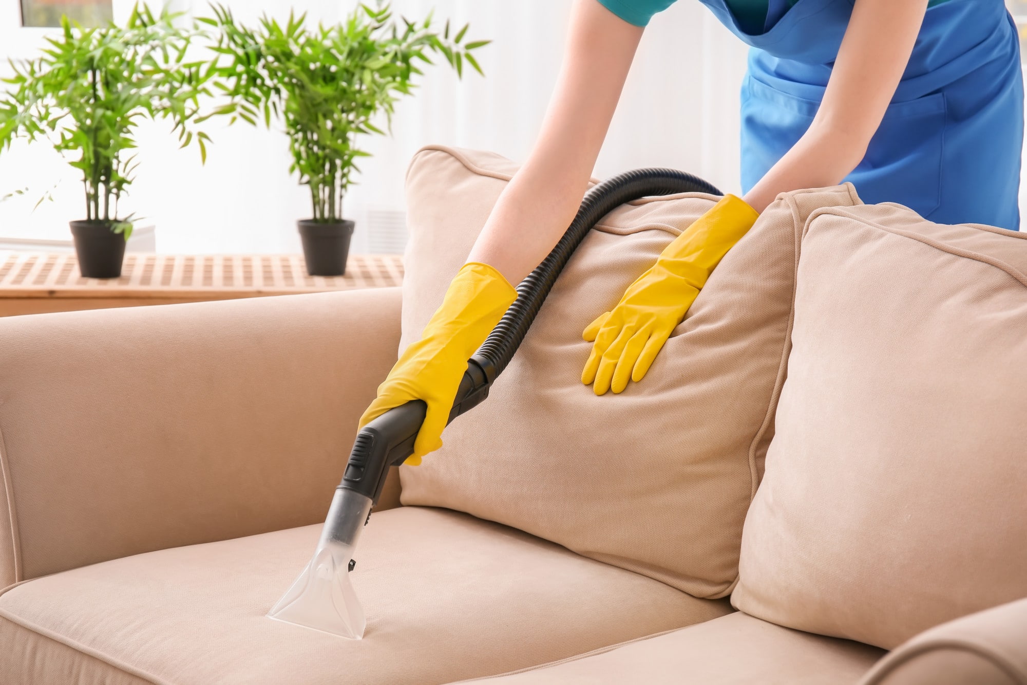 How to Clean Polyester Fiber Couches: Basic Info & Advice