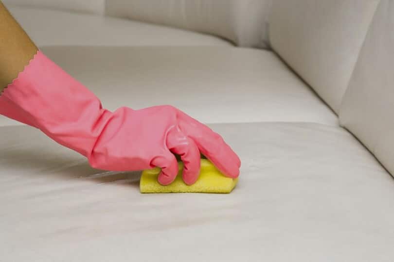 How to Steam Clean a Sofa: Step-by-Step Instructions