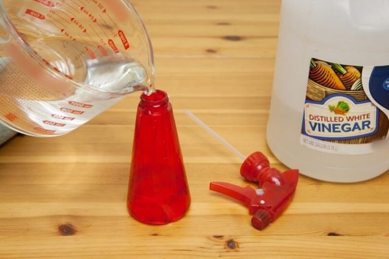 How to Clean Fabric Sofa with Vinegar Here's the answer