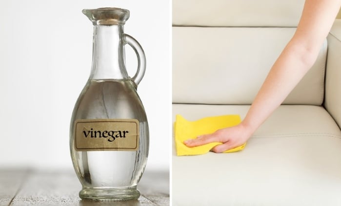 How to Clean Fabric Sofa with Vinegar? Trusted Tips!