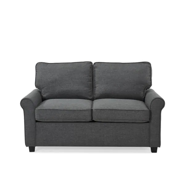 Loveseat Sleeper by Professional Deals LLC